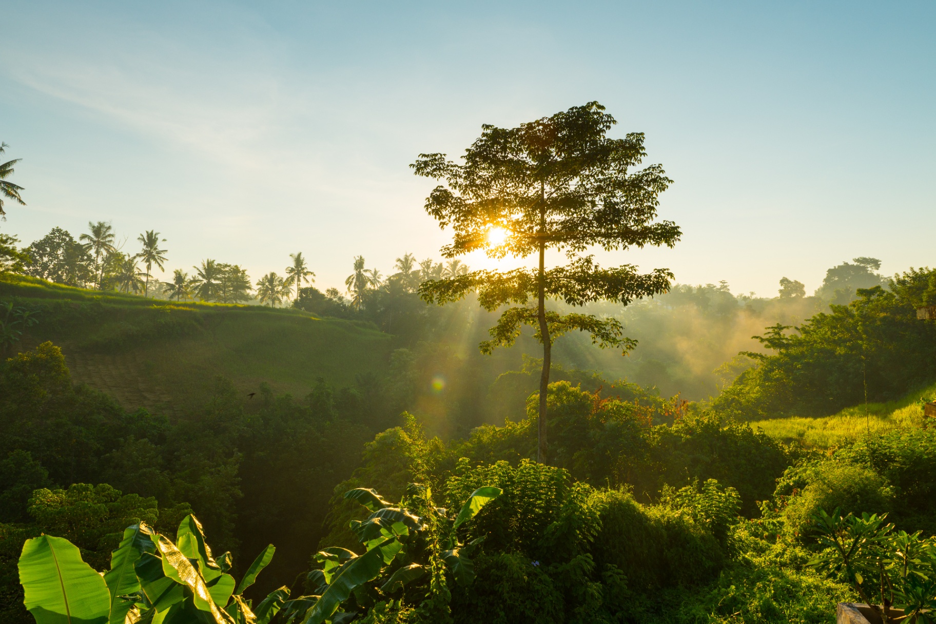 Operação industrial em harmonia com o meio ambiente